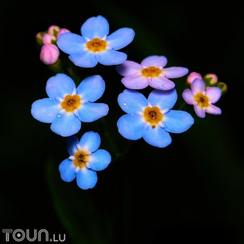 DSC 7685