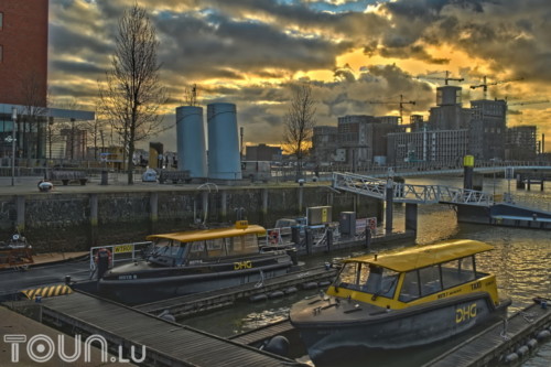 Rotteram March 2020-Watermark100004